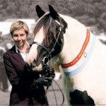 Tia wearing her Champion ribbon Champion Gypsy Cob mare Tia with her ribbon ~ Werribee Royal