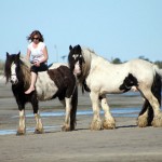 Paladin at the Beach with Louise & Ivy Gypsy Cob stallion Australia on the Beach Port Welshpool VIC